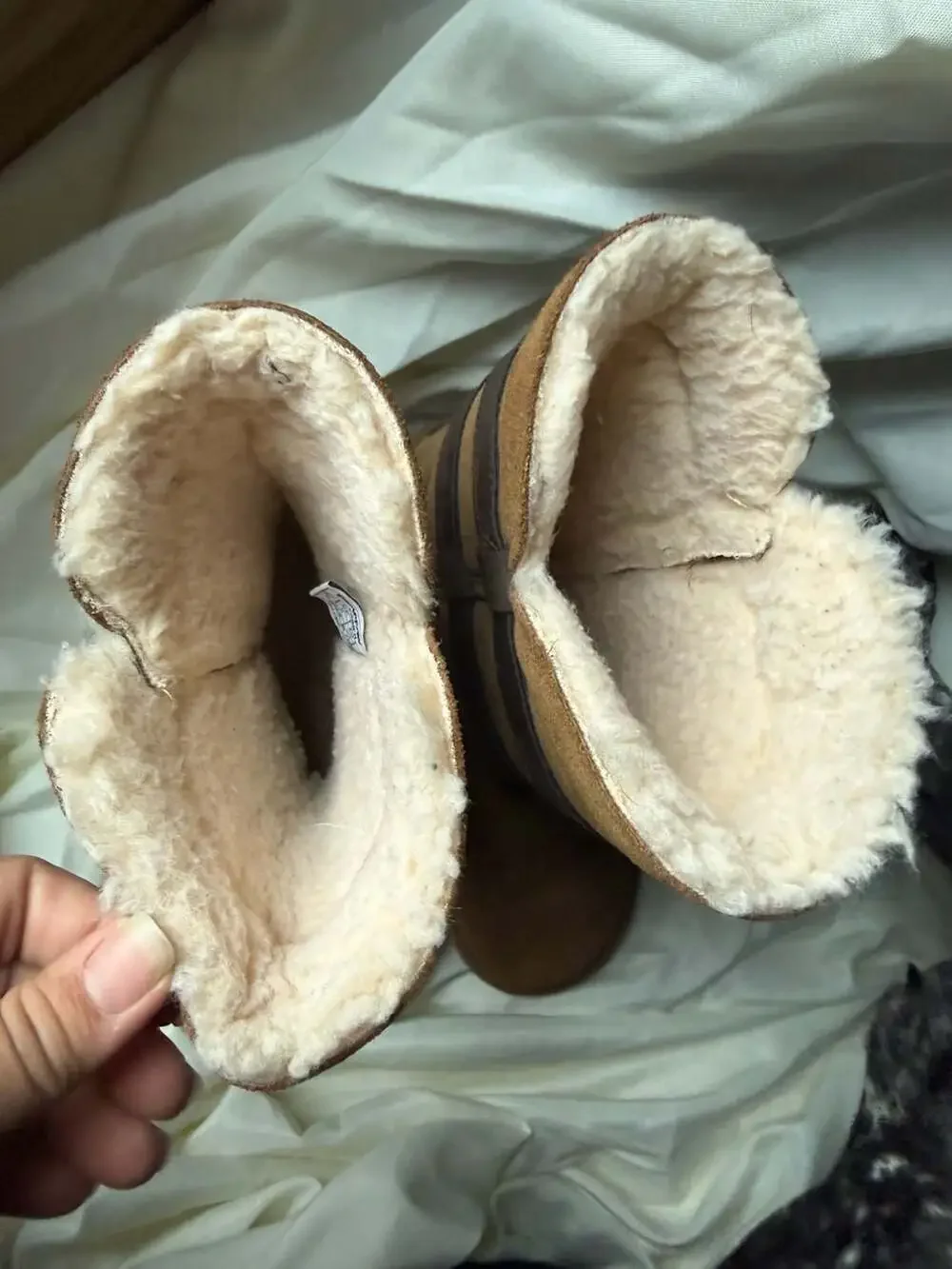 BearPaw